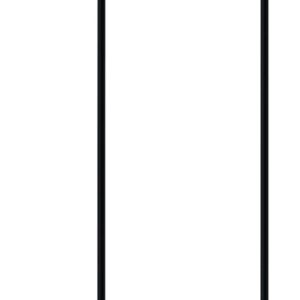 Panasonic On-Ear Stereo Headphones RP-HT21 (Black & Silver) Lightweight and Comfortable, Powerful Bass,Silver